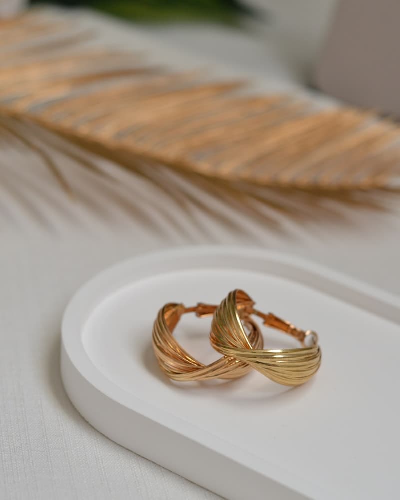 Earrings